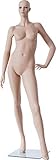 7 Teile zerlegbar Euroton Schaufensterpuppe Mannequin Figur weiblich K45698K4698