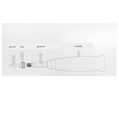 Seawhisper Schraublocher mit 6 Spitzen Locheisen Basteln werkzeug Locher Leder automatische Werkzeug Buch Bohrer Größe 1.5,2,2.5,3,3.5,4mm - 8