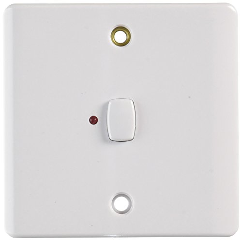 echo compatible light switch