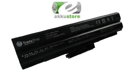 Hochleistungs AKKU 10,8V/11.1V 6600mAh für Sony Vaio ersetzt VGP-BPS-21 VGP-BPS-21B VGP-BPL-13A VGP-BPL-13/S VGP-BPS-21 VGP-BPS-21A VGP-BPS-1321B VGP-BPS-13B VGP-BPS-13Q VGP-BPS-13-A ohne Treiber-CD - 2