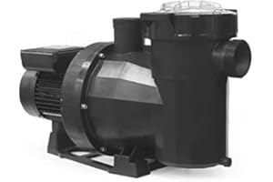 Astral Pool 65562 Filtrationspumpe Victoria Plus leise 1 PS einphasig