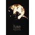 Fuse: The Selected Work of Patrick Jones