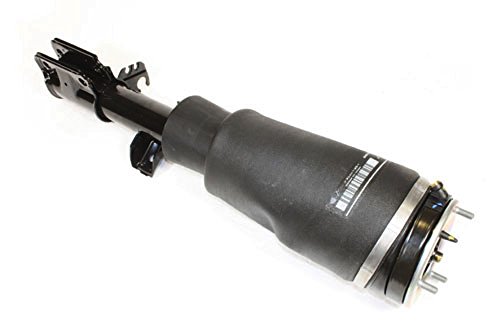 Preisvergleich Produktbild Dunlop RNB000740 Shock Absorber Assy