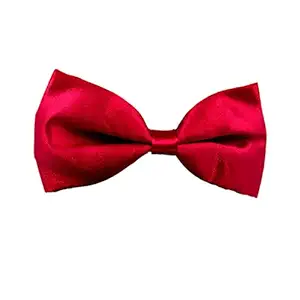 Goofy Tails Dog Bows| Summer Staycation by Design Chefz Dog Bowtie/Bandana for Dogs & Cats Medium (Red)