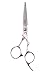 Shears Direct Vg 10 Japanese Stainless Steel Scissors With Ergonomic Handle, 5.5 Inch, 4 Ounce RS.5149.00