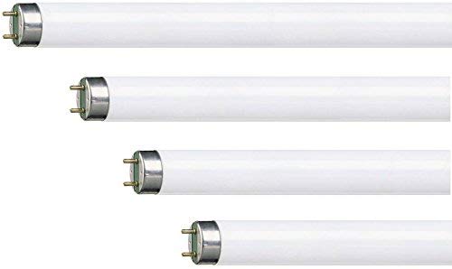 4 x 15 W UV de repuesto para tubos para Eazyzap 30 W insectos trampas CE894 P162 P317 Y725 dn489 F15t8bl368 Fly Zapper