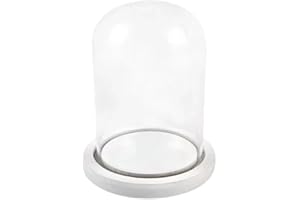 C.X.Y. Campana di Vetro con Base in Legno, Cupola vetro esposizione vetrina Centrotavolo Porta candela Decorazione (8*15cm)