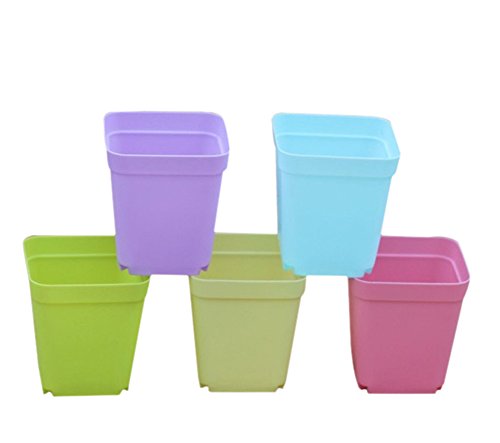 Vi.yo - 14 macetas cuadradas de plástico para jardín o guardería, decoración del hogar, color caramelo