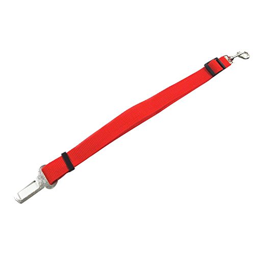 Preisvergleich Produktbild Blue Vessel Einziehbarer Sicherheitsgurt für Hunde Hundeleine Gurtschloss Hundeschutz Sicherheitsgurt Sicherheitshund liefert Sicherheit (C)