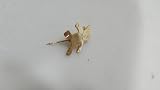  original vintage 1980er Bronze Anhänger Anstecker Teddy Nadel Bär Teddybär 80s