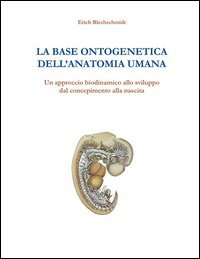 La base ontogenetica dell'anatomia umana. Un approccio biodinamico allo sviluppo dal concepimento alla nascita La base ontogenetica dell'anatomia umana. Un approccio biodinamico allo sviluppo dal concepimento alla nascita