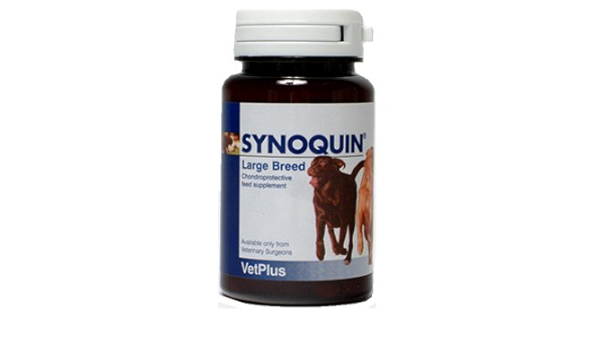 synoquin medium dog