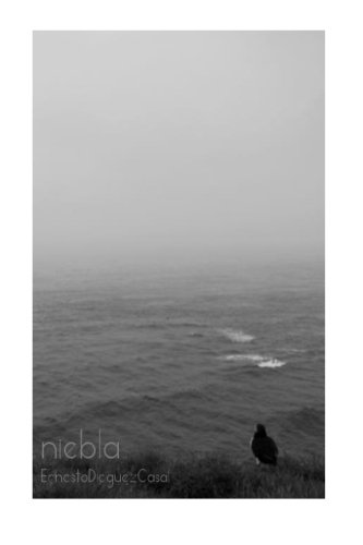 niebla: textos de 2015