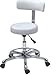 Beauty Salon Supplies Therapist Styling Stool Chair with shaped backrest - White