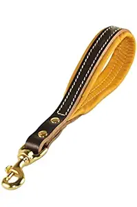 Woof 99 Reflective Short Handle Leash 12 Inch Nylon Puppy Leash for Small & Medium Dogs