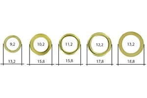 S&S-SHOP 60 Varios fitsche anillos – fitsche de surtido – Diferentes tamaños/para levantar puertas de