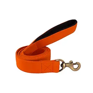 PetWale Dog Leash with Padded Handle for Walking Running Training, Comfortable Heavy Duty (Orange,L: 5 feet, W: 1.49