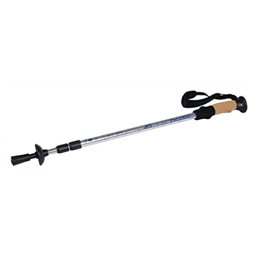 ALPS Mountaineering Excursion Trekking Pole by ALPS Mountaineering