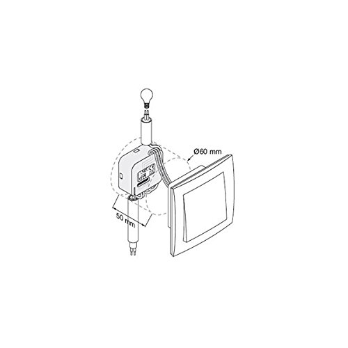 Somfy 2401161 Micro Receptor para Iluminación, 500 W, 230 V, Blanco