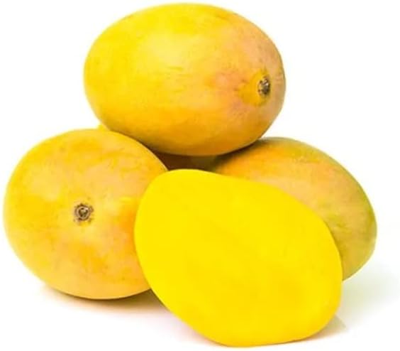 Amazon NoW- Alphonso Mango and Classmate Notebooks( Price Error)