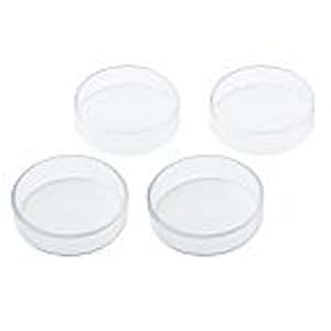 Swish Möbeluntersetzer, 64 mm, für Teppich, Laminat und Holz: Amazon.de