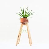  Soporte/peana de madera estilo natural moderno para macetas de interior