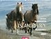 Islandpferde 2007 by 