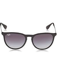 Ray-Ban Erika Classic Men's Sunglass