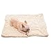 Produktbild haierr Pet Nest Hundebettpet Mat Four Seasons Universal Zwinger Katzenstreu 10 Kg Innen 45 * 55