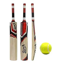 JRS Super 019 Wooden Cricket Bat with Ball for Kids Size 4 Pack of 1 (Multi-Brand) 8-10 Years Boys