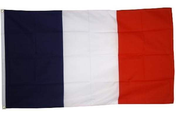 Digni® Drapeau France 90 x 150 cm