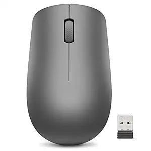 Lenovo 530 Wireless Mouse (Graphite): Ambidextrous, Ergonomic Mouse, Up to 8 Million clicks for Left and Right Buttons, Optical Sensor 1200 DPI, 2.4 GHz Wireless Technology via Nano USB Receiver