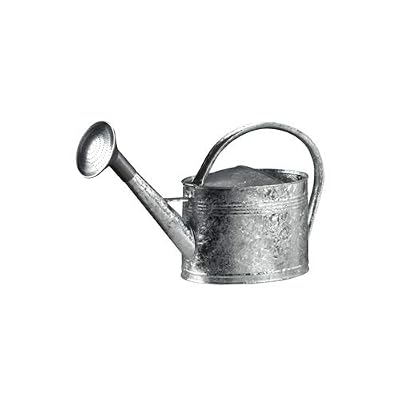 GUILLOUARD Arrosoir 10L + pomme d'arrosage