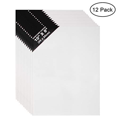 Lienzos (12 Piezas) - L25 x W20cm Set Lienzos para Arte - 0,3 cm de Espesor Panel de Lienzo para Pintar - Lienzo en Blanco para Obras de Arte - Lienzos para Oleo, Pintura Acrílica y Acuarela