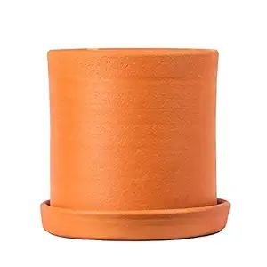 Village Decor Terracotta Terracotta Plant 1 Container with Bottom Tray (B*H - 6 * 6 inch)