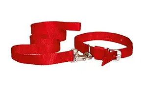 Furry Angels Nylon Collar and Leash Set ( Size - Large ) for Large Dogs - Like German Shepherd , Rottweiler etc ( Color - Red) Width- 1 1/4 inch