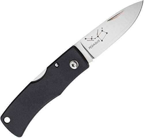 Preisvergleich Produktbild Fallkniven U2 Pegasus Lockback FNU2PE