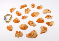 Presas de escalada Osmose - Dimensión XS - Serie Insect - Chartreux