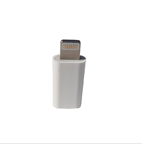 Lightning to USB-C Adapter (White) USB3.1
