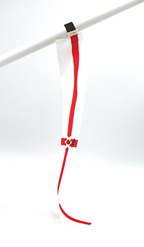 5er-Set Nord Irland miniflag | Fan-Artikel in National-Farben | kleine mini-Fahne | Fan und Party-Fähnchen u.a. für Fußball Handball Beach-Volleyball Tennis Ski WM EM Olympia Sport-Events |