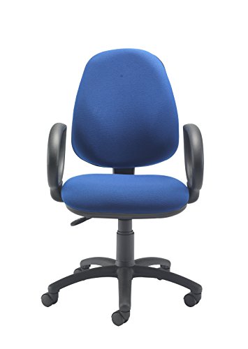 Office Hippo 2 Lever Ergonomic Office Chair With Fixed Arms, Fabric, Royal Blue