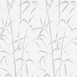 Selbsthaftende Glas-Sichtschutzfolie Static Premium Nr. 24 "Bamboo" Maße 1,5m x 67,5cm
