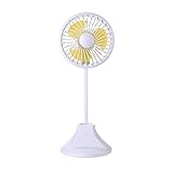 TUDUZ Multifonctionnel USB Charged Portable LED Lampe de Bureau avec Ventilateur Porte-Plume Mini Ventilateur personnalisé(Blanc)