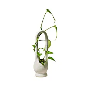 Tiny Green Corner Beautiful Money Plant Stand with Ceramic Pots for Balcony Garden and Home Decoration, White