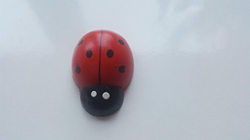 10 Stück XXL schöne Glücks-Marienkäfer (selbstklebend) für Dekoanlässe etc...