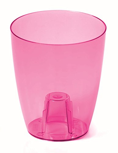 Maceta transparente calidad prémium ideal para orquídeas 2 tamaños 6 colores