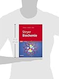 Image de Stryer Biochemie