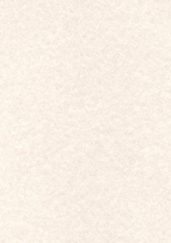 Agipa pcl1678 struttura di carta, A4, 165 G/MQ, pergamena Grigio Caldo