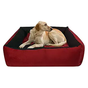 Hiputee Ultra Soft Rectangular Reversible Fleece/Velvet Bed for Dog and Cat with 2 Extra Pillows (Small, Black Red)