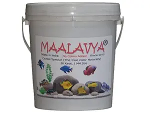 Maalavya 1KG Fish Feed/Food 26 Karat Cichlid Special 1MM Size (No Colors Added) Fish Food